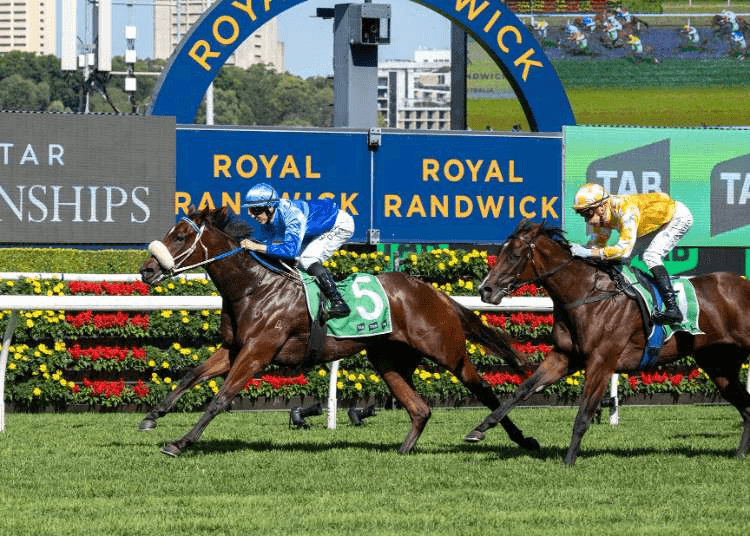 Eneeza raced clear in the G2 Percy Sykes S. at Randwick on Saturday | Image courtesy of Ashlea Brennan

