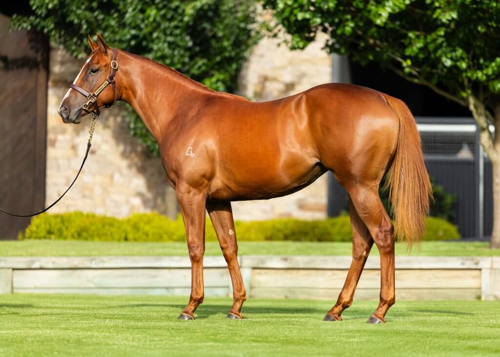 Lot 374 Russian Revolution x Ruthin